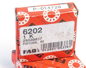 FAG 6202 bearings